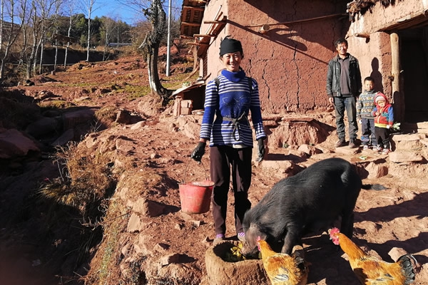 Heifer Charity Dinner 2019