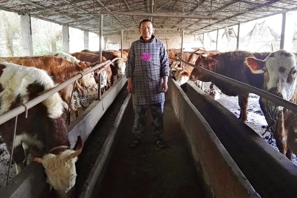 Heifer Charity Dinner 2018